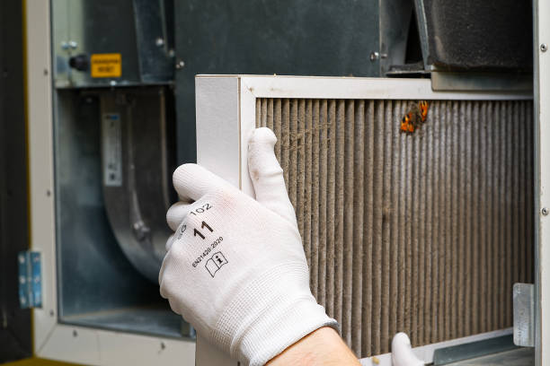 Best Home Air Vent Cleaning  in Lahaina, HI