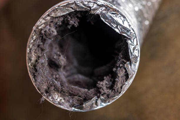 Best Professional Duct Cleaning Services  in Lahaina, HI