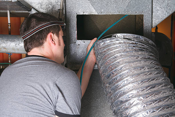 Best Air Duct Mold Removal  in Lahaina, HI