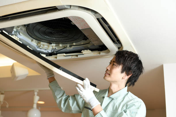 Best Home Air Vent Cleaning  in Lahaina, HI