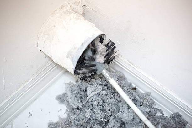 Air Duct Mold Removal in Lahaina, HI